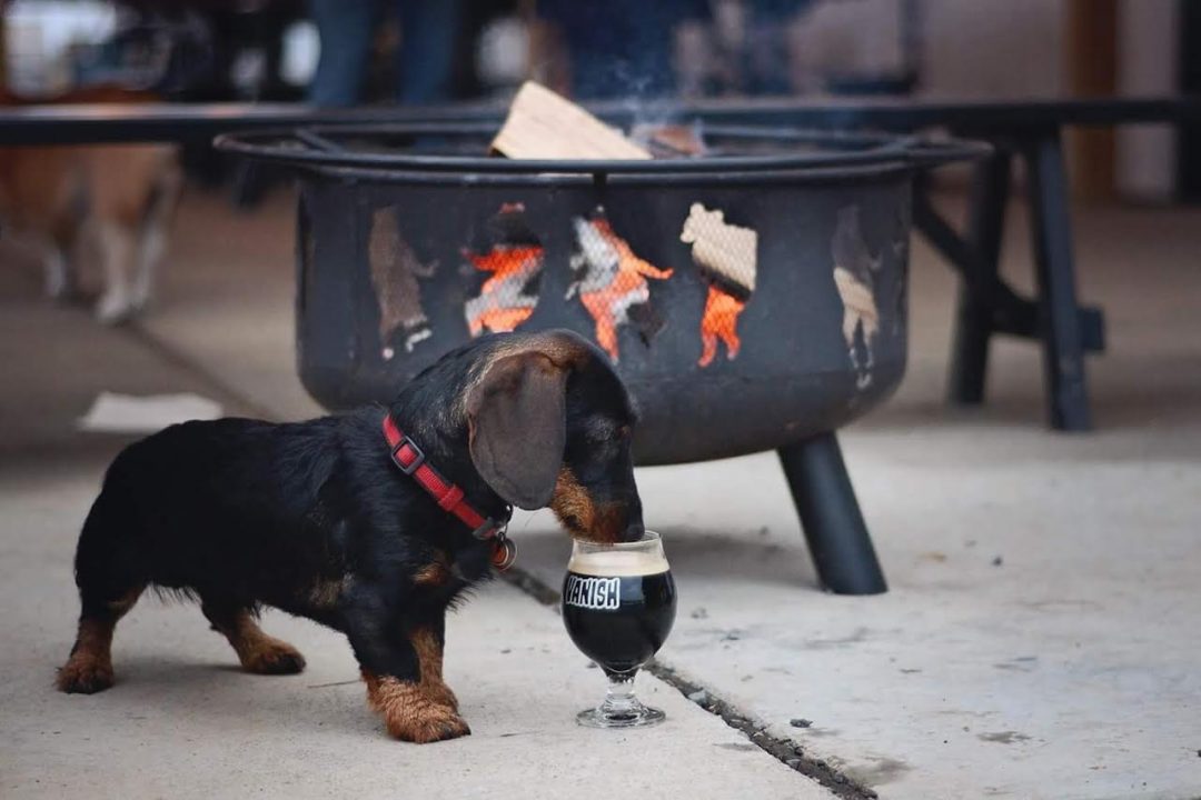 FAQ Vanish Farmwoods Brewery